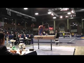 Danell Leyva - Pommel Horse - 2013 Winter Cup Prelims