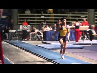 Adrian de los Angeles - Vault - 2013 Winter Cup Finals