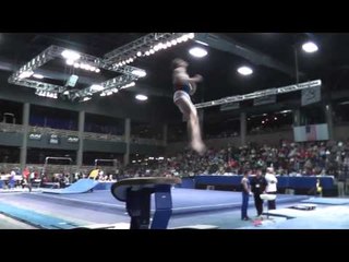 Luke Stannard - Vault - 2013 Winter Cup Finals