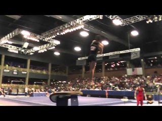 Kevin Wolting - Vault - 2013 Winter Cup Finals