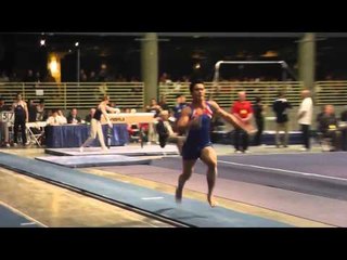 Sean Melton - Vault - 2013 Winter Cup Finals