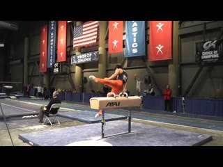 Masayoshi Mori - Pommel Horse - 2013 Winter Cup Finals