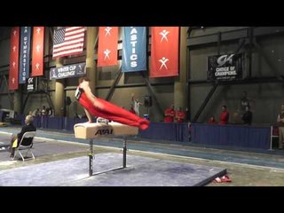 Eric Schryver - Pommel Horse - 2013 Winter Cup Finals