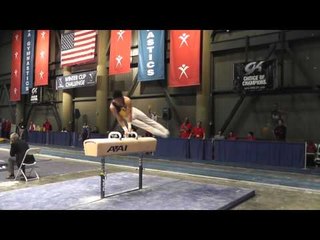 Adrian de los Angeles - Pommel Horse - 2013 Winter Cup Finals