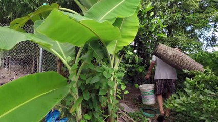 Catching Catfish and Thousands of Birds at Sunset