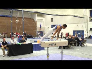 Danell Leyva - Pommel Horse - 2013 Men's National Qualifier