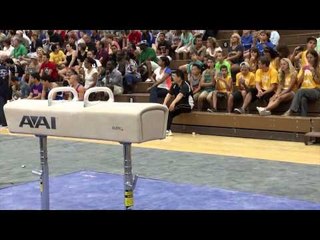 Yul Moldauer - Pommel Horse - 2013 Men's National Qualifier