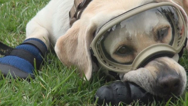Frida, en las botas de la rescatista más famosa de México