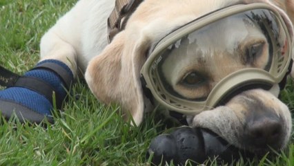 Frida, en las botas de la rescatista más famosa de México