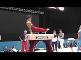 Sam Mikulak - Pommel Horse - 2013 World Championships - Podium Training
