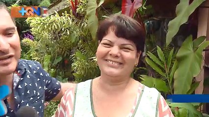 +QN 29 Setiembre 2017