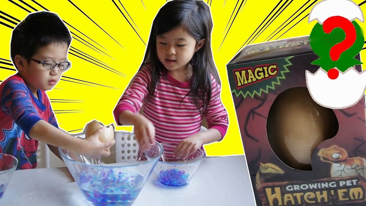 あかちゃん でてきて～！びっくり 恐竜のたまご & オービーズ SURPRISE DINOSAUR EGG HATCHING & ORbeez