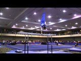 Chris Brooks -  Parallel Bars  - 2014 Winter Cup Prelims