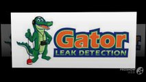 Hire a Leak Detection Professional to Save your Swimming Pool