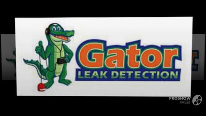 Hire a Leak Detection Professional to Save your Swimming Pool