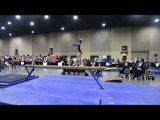 Kaitlin DeGuzman - Beam - 2014 J.O. Championships