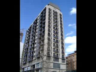 peces de ciudad - valencia