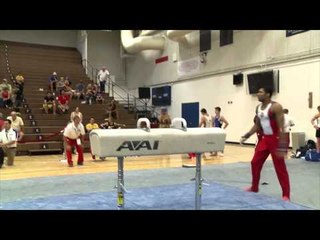 Jake Martin - Pommel Horse - 2014 Men's National Qualifier