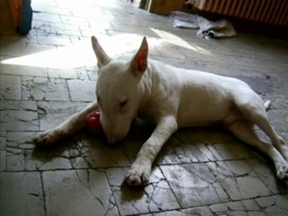 Casper2007