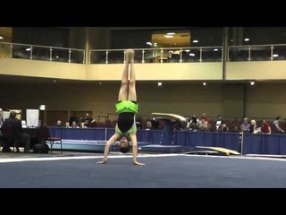 Josh Zeal – Floor – 2015 Winter Cup Prelims