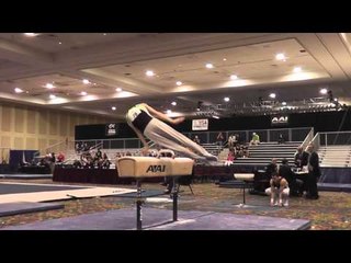 Josh Zeal - Pommel Horse - 2015 Winter Cup Prelims