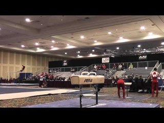 Mathew Wenske - Pommel Horse - 2015 Winter Cup Prelims