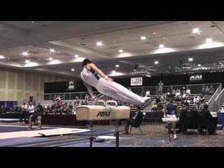 Addison Chung - Pommel Horse - 2015 Winter Cup Prelims
