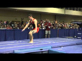 Fabian DeLuna - Vault - 2015 Winter Cup Finals