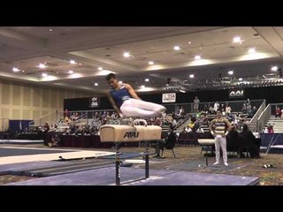 Donothan Bailey - Pommel Horse - 2015 Winter Cup Prelims