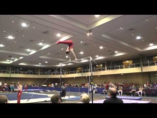 Alec Robin – High Bar – 2015 Winter Cup Prelims