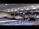 Paul Ruggeri - Pommel Horse - 2015 Winter Cup Prelims