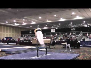 Dmitri Belanovski - Pommel Horse - 2015 Winter Cup Prelims