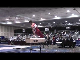 Hunter Justus - Pommel Horse - 2015 Winter Cup Prelims