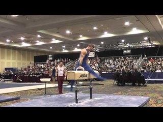 Steven Legendre - Pommel Horse - 2015 Winter Cup Finals