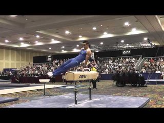 Paul Ruggeri - Pommel Horse - 2015 Winter Cup Finals