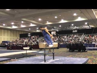 Danell Leyva - Pommel Horse - 2015 Winter Cup Finals