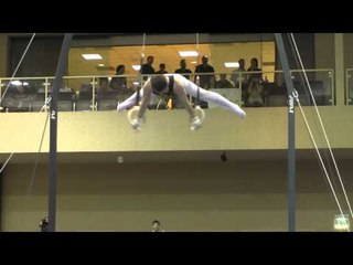 Dmitri Belanovski – Still Rings – 2015 Winter Cup Finals