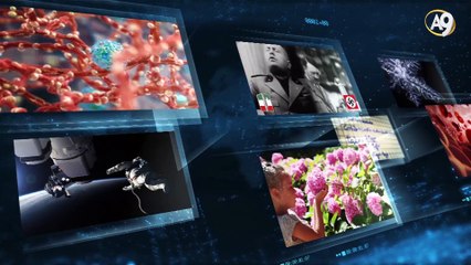 Mr. Adnan Oktar's Jul 2017 Media Publications