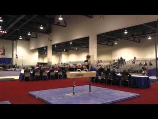 Shane Wiskus - Pommel Horse - 2016 Winter Cup Prelims