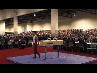 Yul Moldauer - Pommel Horse - 2016 Winter Cup Finals