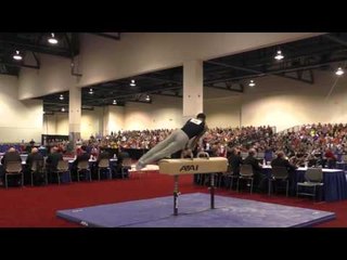 Paul Ruggeri - Pommel Horse - 2016 Winter Cup Finals