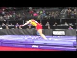 Mu Jile (CHN) - Vault - 2016 Pacific Rim Championships Team/AA Final