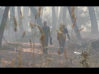 Vesuvio, allarme degli ingegneri: dopo incendi rischio frane (31.07.17)