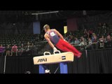 Sam Mikulak (USA) - Pommel Horse - 2016 Pacific Rim Championships Team/AA Final