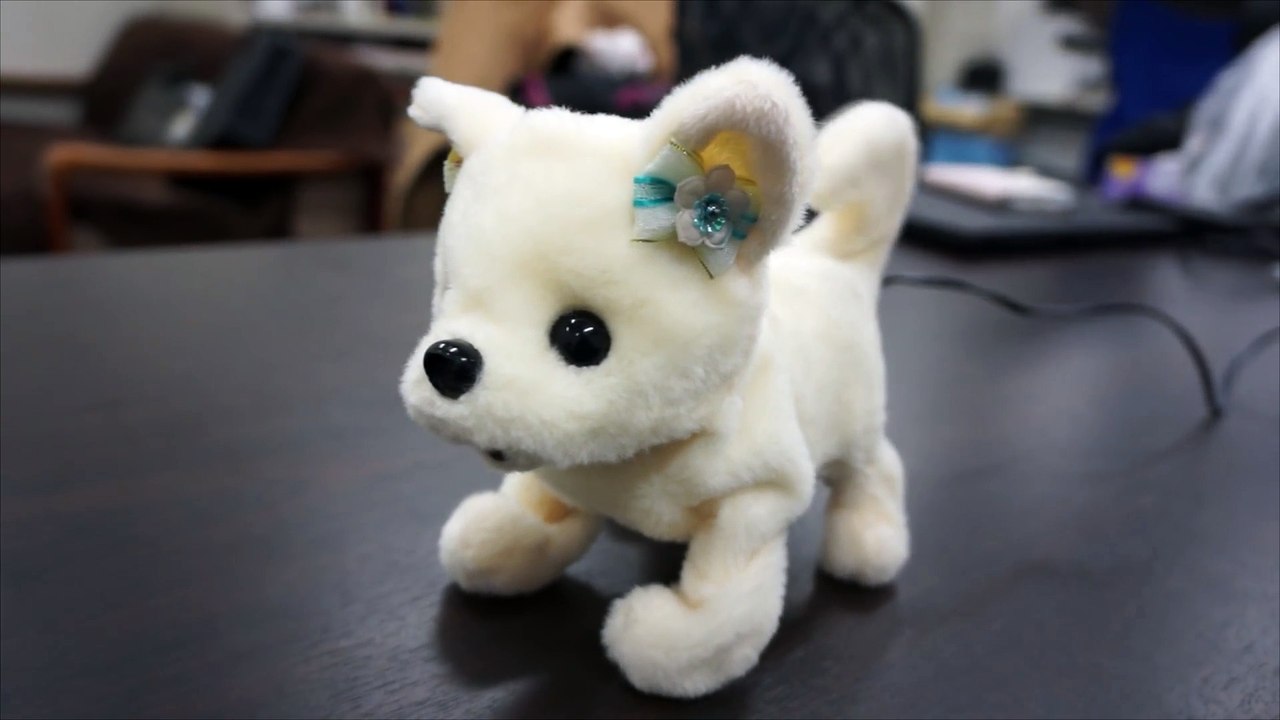 Japonlar kokan ayakları keşfetmek Robot köpekler geliştirildi