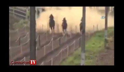 At yarışında korkunç an! Pistte can verdi