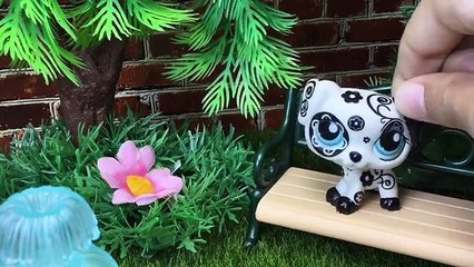 Okul Maceraları Bölüm 3 - Minişler Cupcake Tv - Littlest Pet Shop LPS - Minişler Okulda/Sınıfta