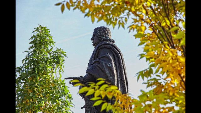 La construction du 14e Jardin éphémère sur la place Stanislas à Nancy. Place à l'arbre à voir du 30 septembre au 5 nov