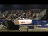 Brett Miller - Pommel Horse - 2017 Winter Cup Prelims