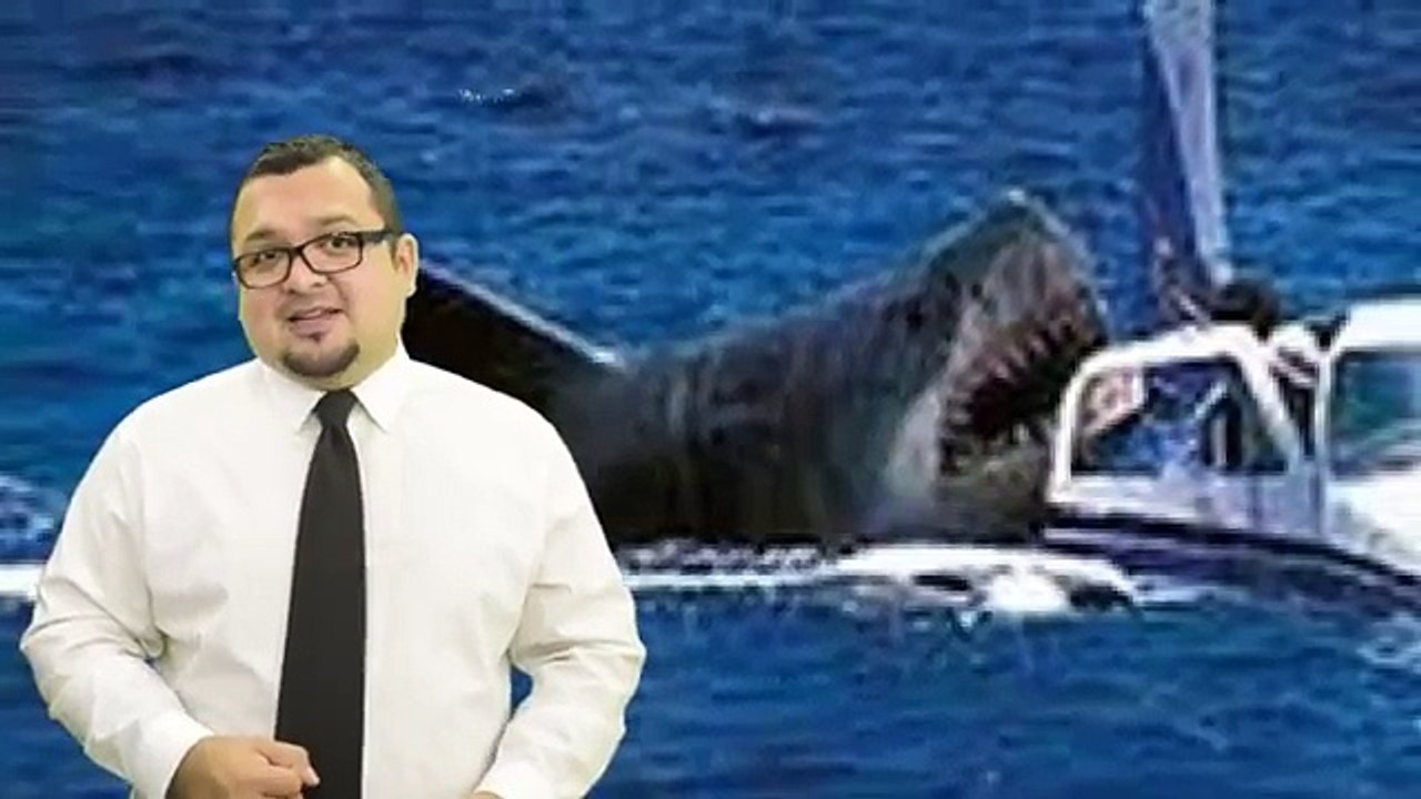 5 Megalodons Caught on Tape